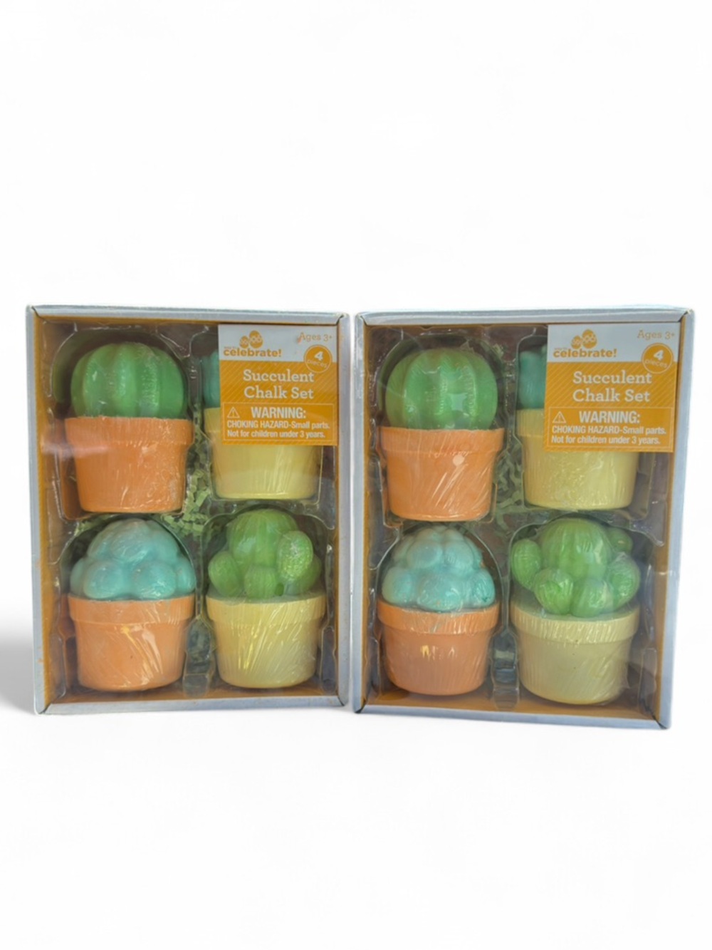 Succulent Plants 4-pack Indoor/Outdoor Chalk Set (Lot of 2)